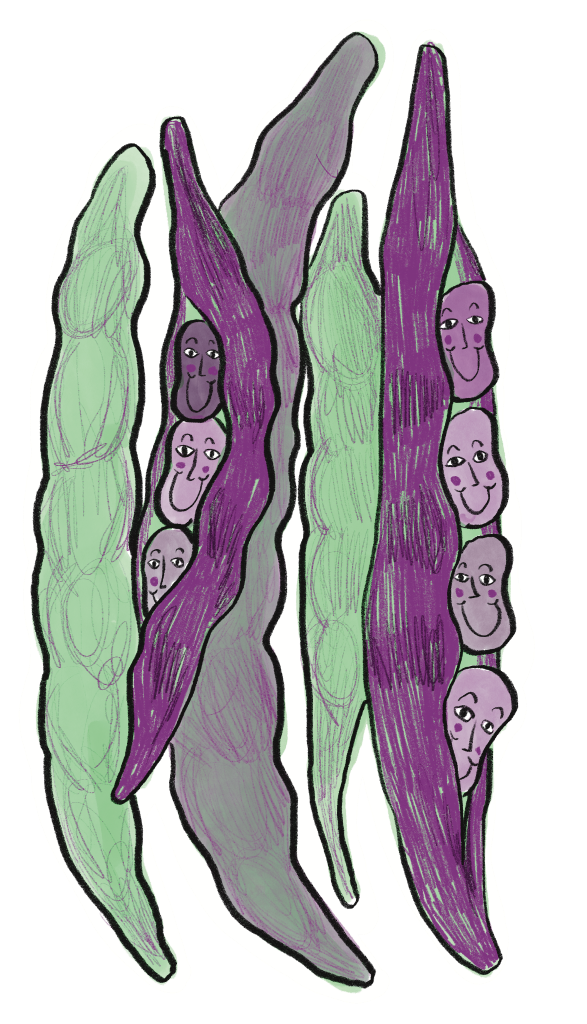 VegFest logo is weird happy dopy vegetables